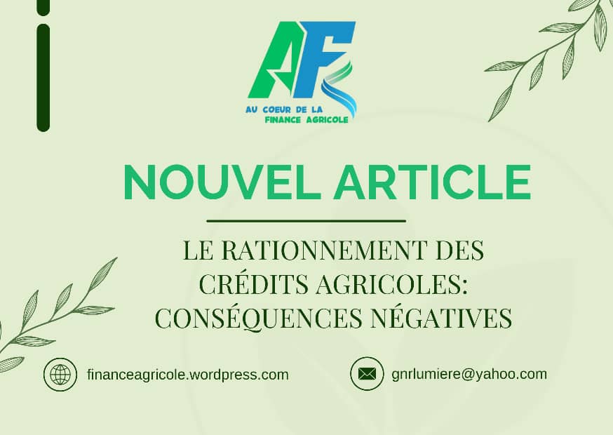 Rationnement du crédit : un frein pour les agriculteurs en Afrique