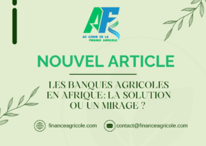 Les banques agricoles en Afrique : solution ou mirage